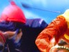 Champion Jockey