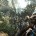 Crysis 3