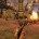 Fable Anniversary