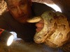 Kinect Nat Geo TV: Season 2 - Dangerous Encounters