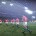 Rugby Challenge 2: The Lions Tour Edition