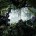 Sniper: Ghost Warrior 2
