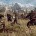 The Witcher 3: Wild Hunt