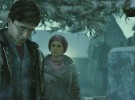Harry Potter and the Deathly Hallows: Part I Screenshot