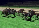 Champion Jockey Screenshot