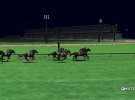 Champion Jockey Screenshot