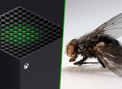 ‘There's A Fly In My Xbox’, Says Concerned Series X Owner