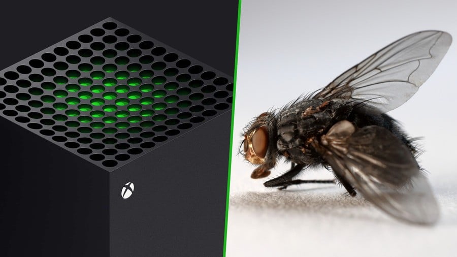 Random: ‘There's A Fly In My Xbox’, Says Series X Owner