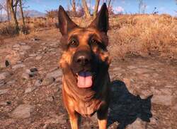 Xbox, Bethesda Donating $10k To Charity In Honour Of Fallout Dog Who Passed Away