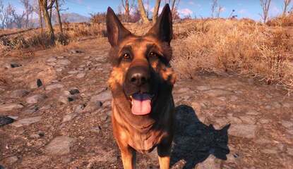 Xbox, Bethesda Donating $10k To Charity In Honour Of Fallout Dog Who Passed Away
