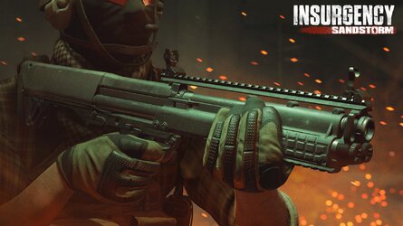 Insurgency Shotgun2