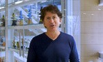 Todd Howard Talks About Leading Multiple Bethesda Projects At Once