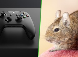Family Uses Xbox One To Keep Their Pet Degu Alive