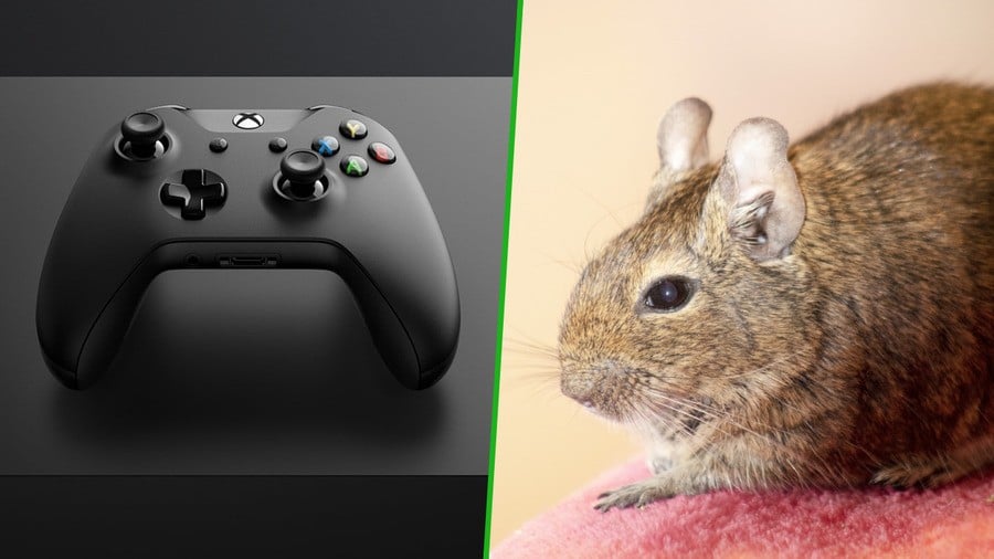 An Xbox One Is Being Used To Keep One Family’s Pet Alive