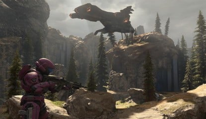 How Are You Feeling About Halo Infinite After Recent News?