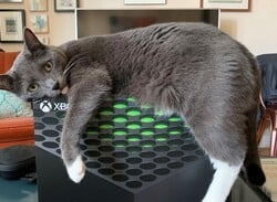 These Pets Don't Know What To Make Of The Xbox Series X