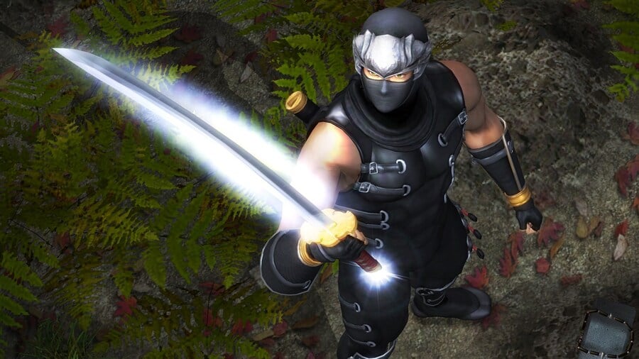 Ninja Gaiden: Master Collection Producer Explains Why Online Multiplayer Is Not Included