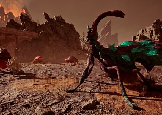 One Year Later, How Do You Feel About Xbox RPG Avowed?