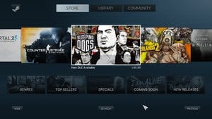The Steam Interface