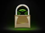 Xbox 'Investigating' Issue With Passwords Not Working On Consoles