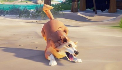 Woof Woof! The Next Sea Of Thieves Content Update Is Adding Pet Dogs