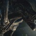 Free Play Days: Try These Xbox Games For Free (April 24-27)