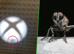Xbox One Owner Somehow Gets Fly Stuck In The Power Button