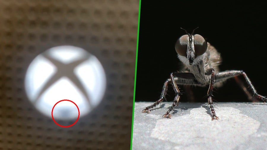 Random: Xbox One Owner Somehow Gets Fly Stuck In The Power Button