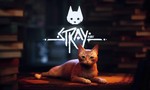 Stray might be coming to Xbox soon