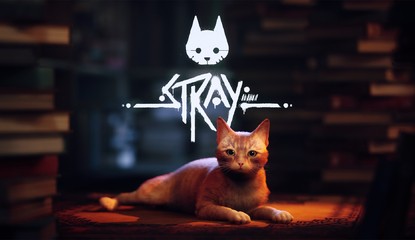 Is Stray Coming To Xbox? Here's Everything We Know So Far