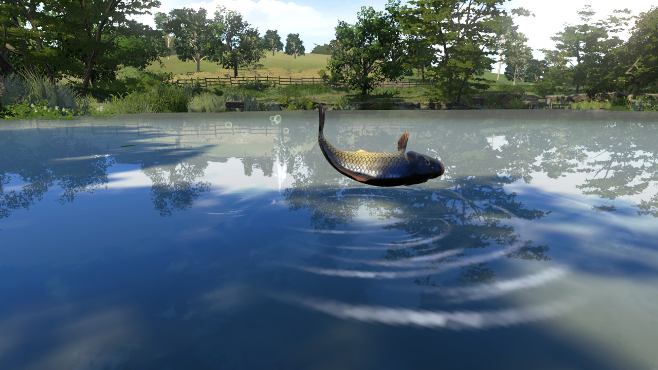 Fish On! Dovetail Games Fishing Confirmed for Xbox One