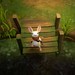 Moss Developer Polyarc Games Shutting Its Doors After 12 Years