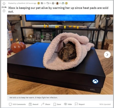 An Xbox One Is Being Used To Keep One Family’s Pet Alive