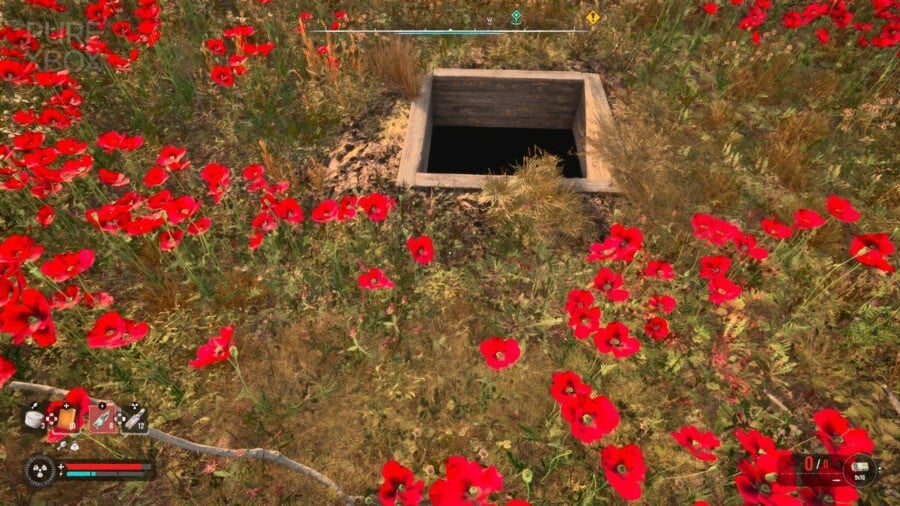 Stalker 2 Poppy Field: Where To Find It & Complete The Quest3