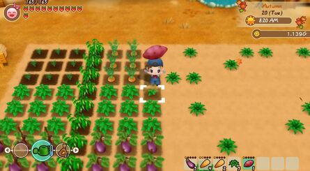 Xbox Is Getting A Touch Of Animal Crossing This Year With Story Of Seasons: Friends Of Mineral Town