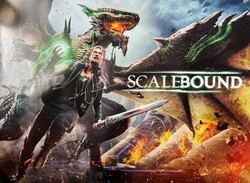 Signed Poster Of Scalebound, The Cancelled Xbox Exclusive, Shows Up At Yard Sale