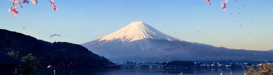 Forza Horizon 6 (Xbox Series X|S)