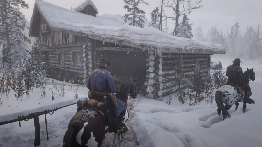 Red Dead Redemption 2 Review - Screenshot 6 of 8