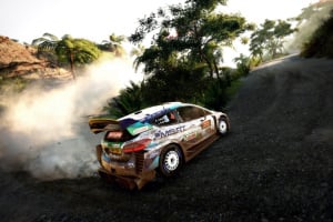 WRC 9 FIA World Rally Championship Screenshot