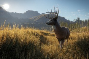 theHunter: Call of the Wild Screenshot