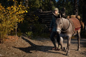 Medieval Dynasty Screenshot