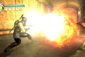 Ninja Gaiden Screenshot
