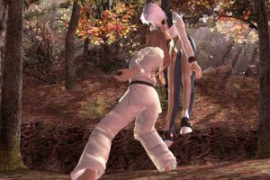 Dead or Alive 3 Screenshot