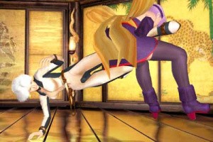 Dead or Alive 3 Screenshot