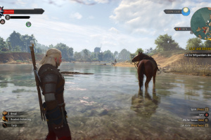 The Witcher 3 Next-Gen Screenshot