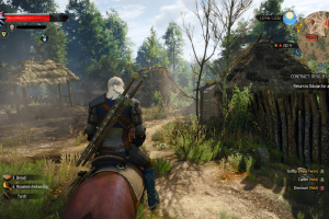 The Witcher 3 Next-Gen Screenshot