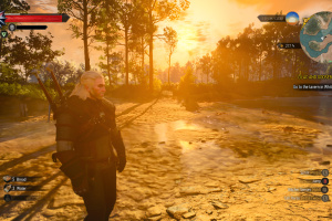 The Witcher 3 Next-Gen Screenshot