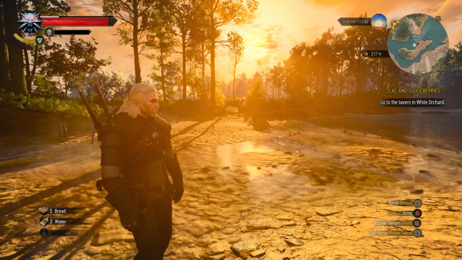 The Witcher 3 Next-Gen Review - Screenshot 2 of 3