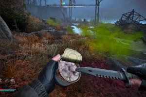 S.T.A.L.K.E.R. 2 Screenshot