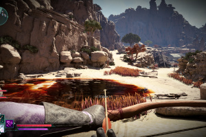 Avowed Screenshot